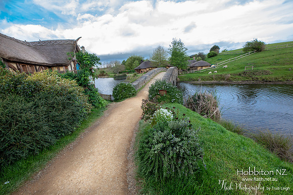 Hobbiton, North NZ