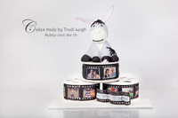 Donkey Film designed cake
