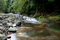Allyn River, Chichester State Forest NSW