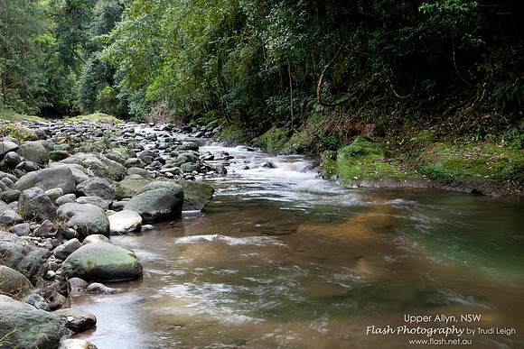 Allyn River, Chichester State Forest NSW