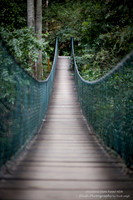 Strickland State Forest, NSW
