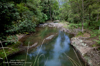 Allyn River, Chichester State Forest NSW
