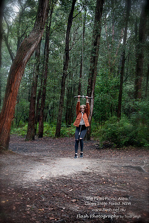 The Pines Picnic Area, Olney State Forest NSW