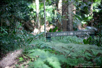 Strickland State Forest, NSW