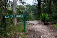 Strickland State Forest, NSW