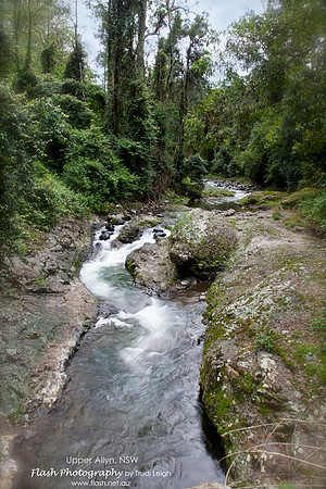 Allyn River, Chichester State Forest NSW