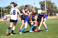 AFL