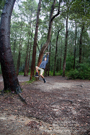 The Pines Picnic Area, Olney State Forest NSW