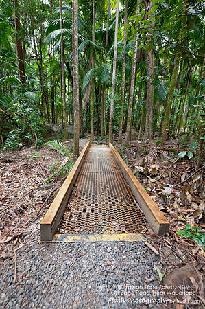 Burrawang State Forest NSW
