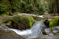 Allyn River, Chichester State Forest NSW