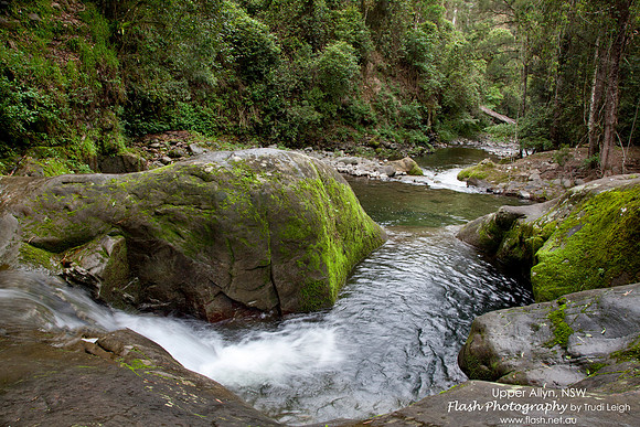 Allyn River, Chichester State Forest NSW