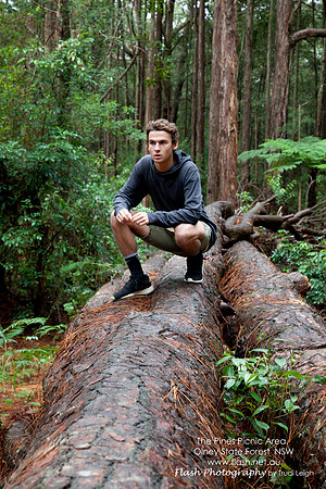 The Pines Picnic Area, Olney State Forest NSW