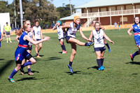 AFL