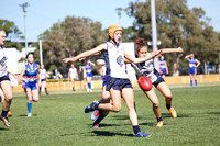 AFL