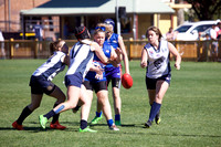 AFL