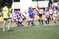 AFL