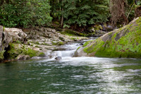 Allyn River, Chichester State Forest NSW