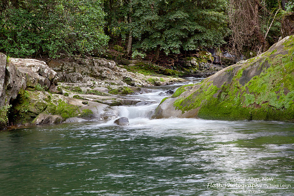 Allyn River, Chichester State Forest NSW