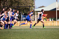 AFL