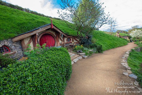 Hobbiton, North NZ