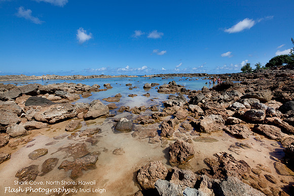 Shark Cove, North Shore, Hawaii