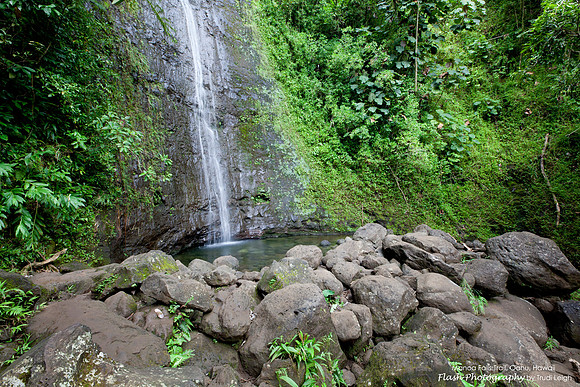 Monoa Falls Trail, Oahu, Hawaii