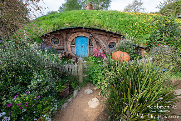 Hobbiton, North NZ