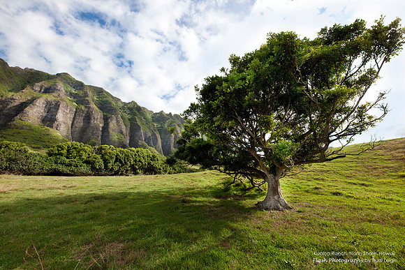 Kualoa Ranch, Hawaii