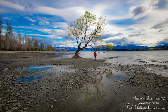 Wanakia, South NZ
