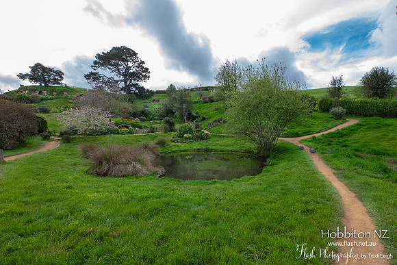 Hobbiton, North NZ