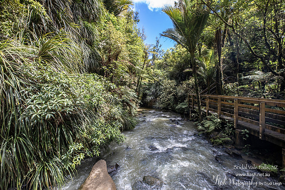 Bridal Vale Falls, North NZ