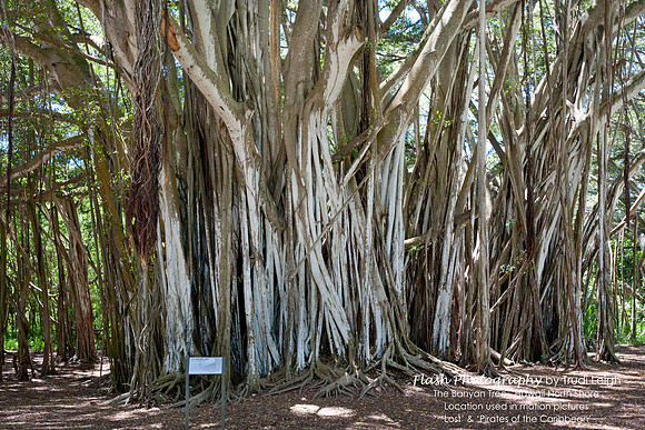 North Shore, Oahu, Hawaii