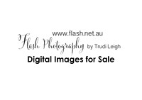 Digital images for sale