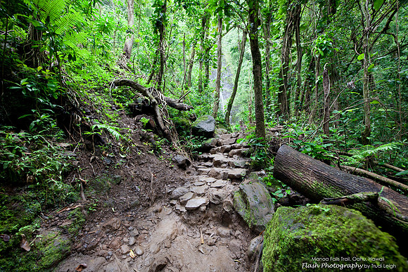 Monoa Falls Trail, Oahu, Hawaii