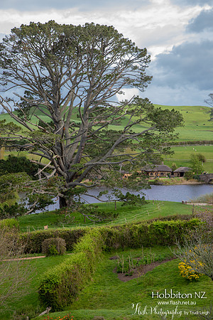 Hobbiton, North NZ
