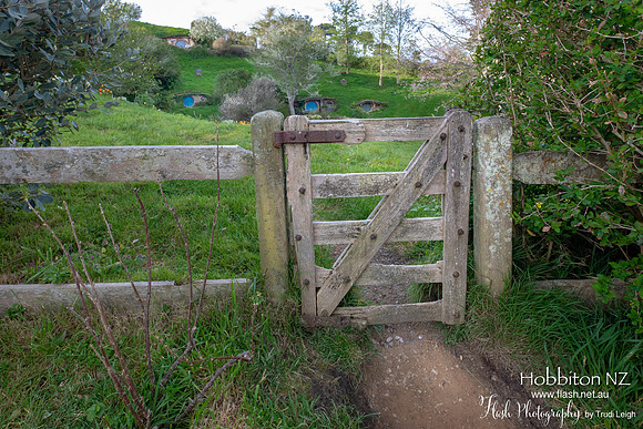 Hobbiton, North NZ