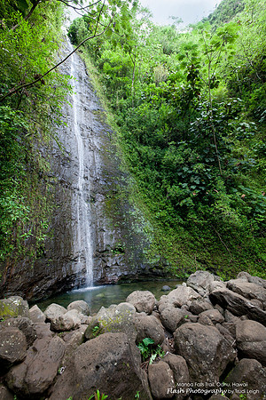 Monoa Falls Trail, Oahu, Hawaii