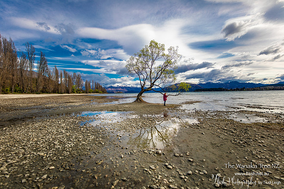 Wanakia, South NZ