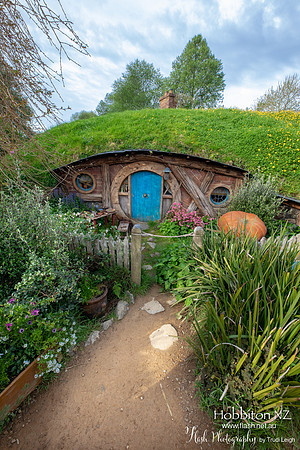 Hobbiton, North NZ