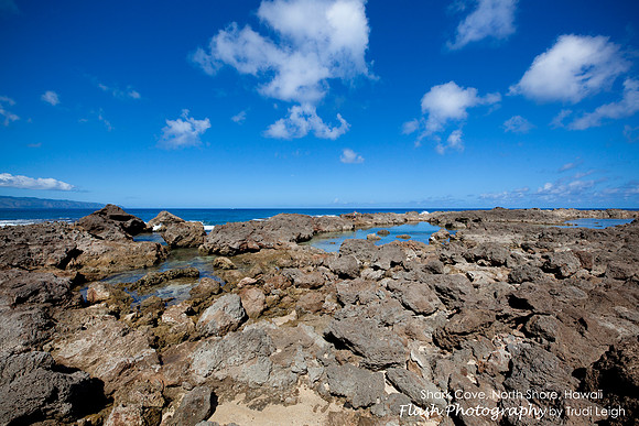 Shark Cove, North Shore, Hawaii