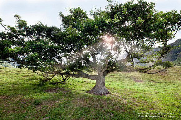 Kualoa Ranch, Hawaii