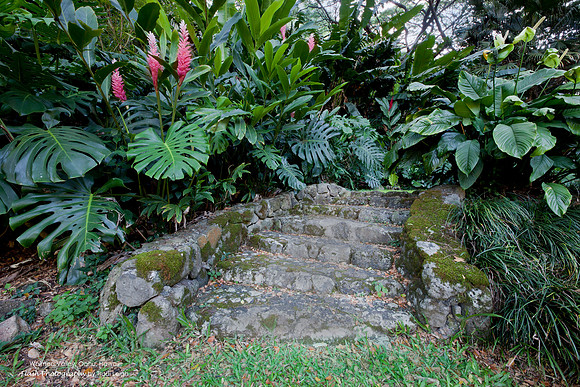 Waimea Valley, Oahu, Hawaii