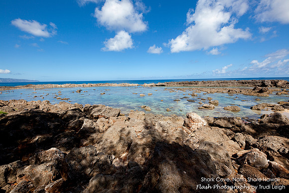 Shark Cove, North Shore, Hawaii