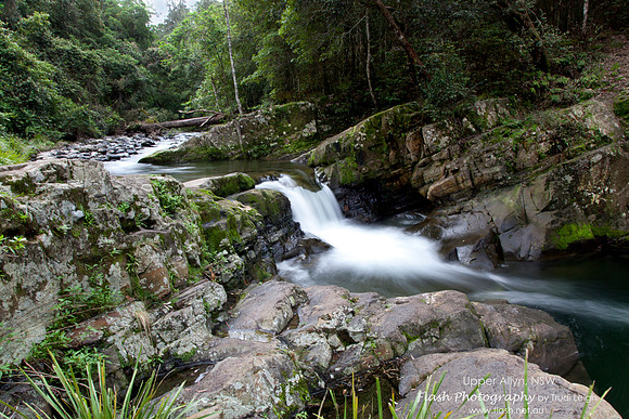 Allyn River, Chichester State Forest NSW