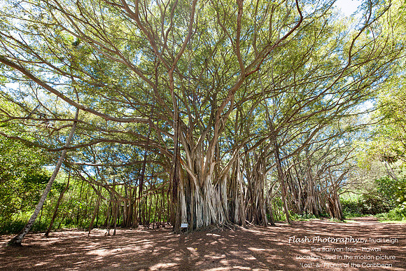 North Shore, Oahu, Hawaii