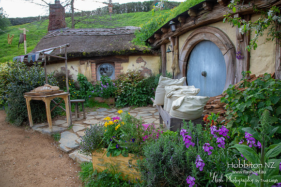 Hobbiton, North NZ