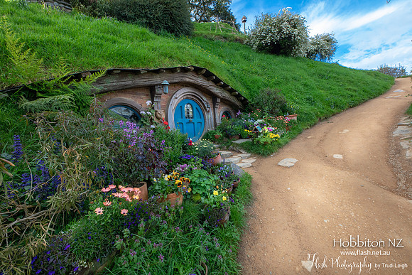 Hobbiton, North NZ