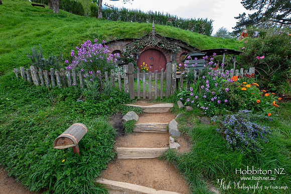 Hobbiton, North NZ
