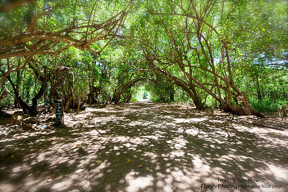North Shore, Oahu, Hawaii