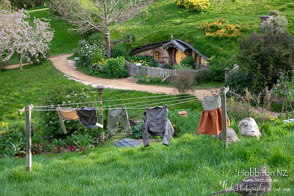 Hobbiton, North NZ